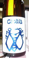 6114����ʡ��������μ��ۡ�Cicala�ʥ�������ˡ����ƶ����1800ml
