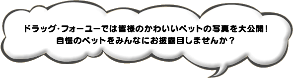 ドラッグ・フォーユーでは皆様のかわいいペットの写真を大募集！自慢のペットをみんなにお披露目しませんか？