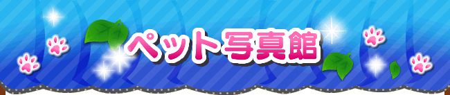 ペット写真館