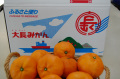 mikan02.jpg
