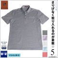 ��GE-STYLE�ۥ�� �ʺ��ڥ����꡼�Ȥ�Ⱦµ���λҥݥ�����ġ�521580�������ơ���