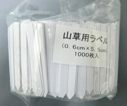 �������٥롡1000�硡��5.5cm���ٷ��������٥�
