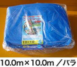 �֥롼�����ȡ�#3000��10.0m��10.0m���Х�