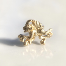 Géodésique ジィオデシック　廃盤ピアス ガルグイユ＊プチデビル ピアス GEODESIQUE WEB SHOP