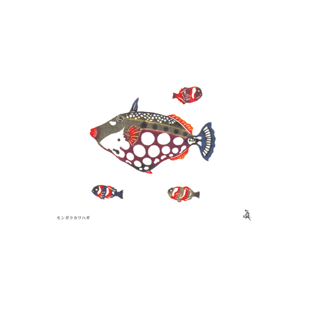 絵はがきモンガラカワハギ