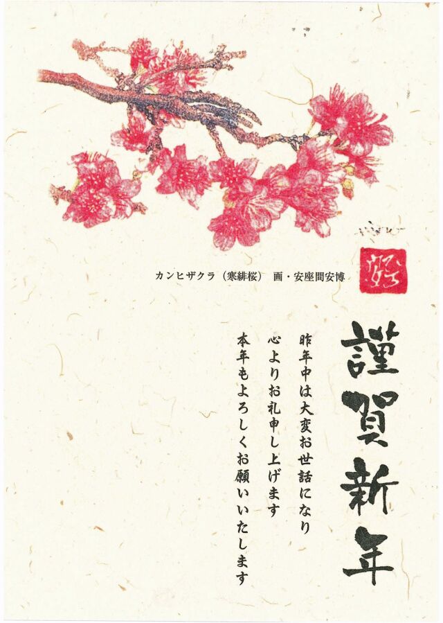 年賀はがきカンヒザクラ3枚セット