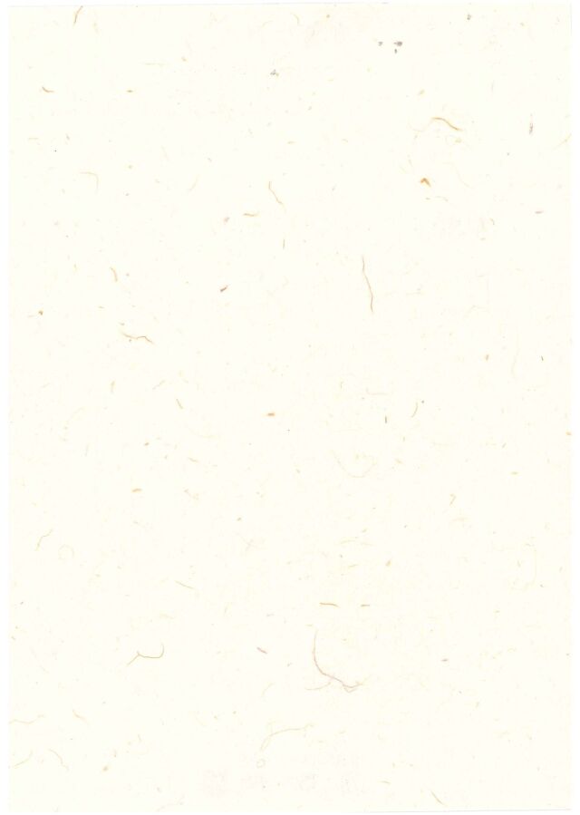 年賀はがき無地20枚セット