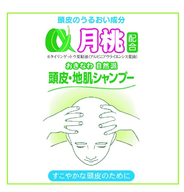 頭皮・地肌シャンプー 500mL｜月桃コスメ本舗 月桃百貨自然派商店