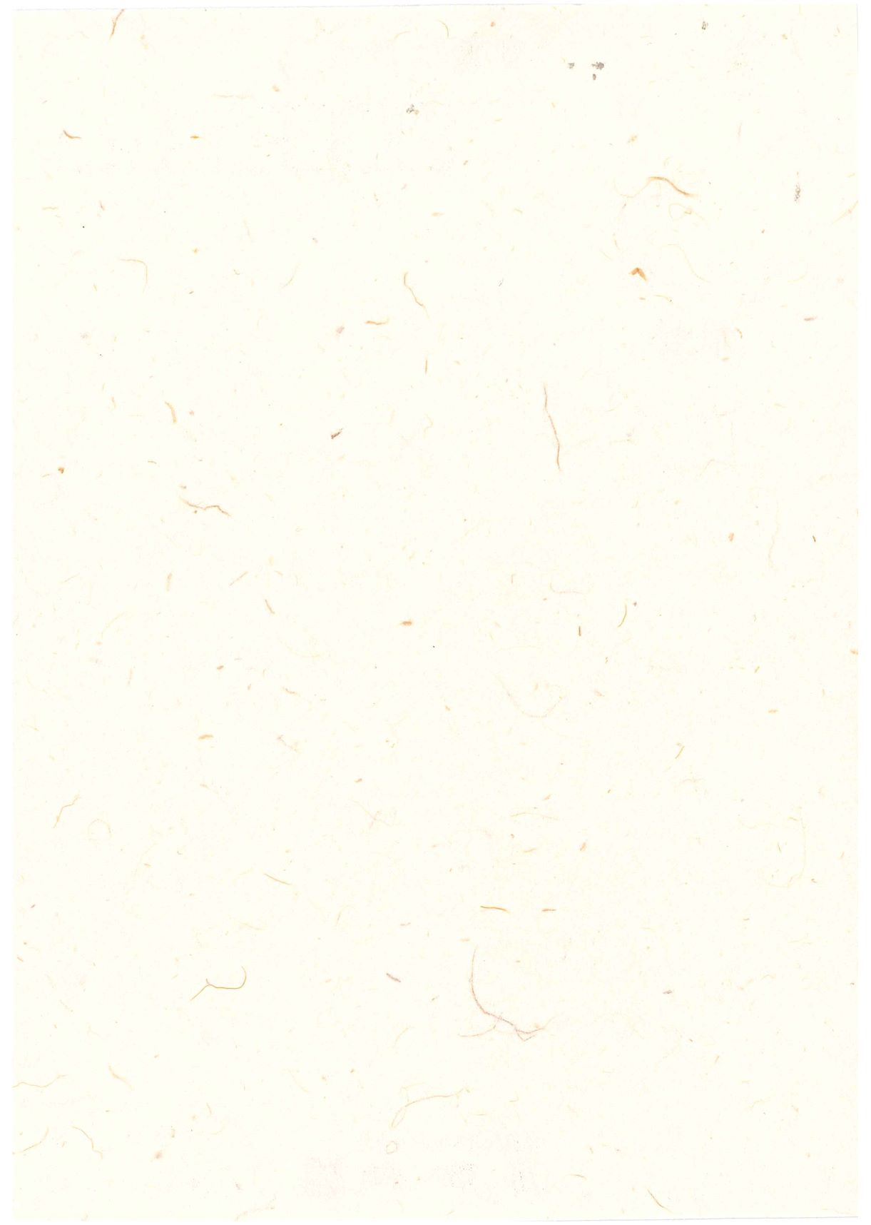 年賀はがき無地20枚セット