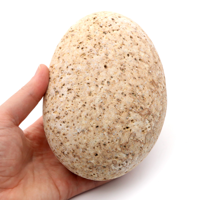 姫川薬石 糸魚川産 自然石 特大サイズ 1点もの お風呂用 多用途 天然石 原石 パワーストーン 浄化グッズ 癒し ヒーリング プレゼント