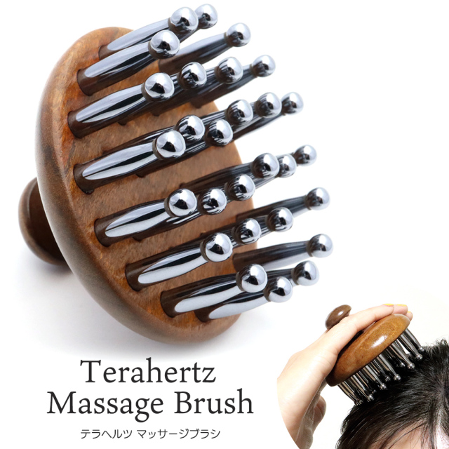 テラヘルツ 頭皮 マッサージ用 ブラシ 気持ちいい リラックス ツボ押し かっさ リフトアップ 美容 鉱石 Terahertz カッサプレート