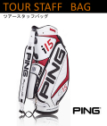 ��2010ǯ��ǥ��PING�ʥԥ�� �ĥ��������åեХå� 9.5��