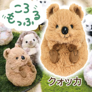 サンレモン ころもっふる クオッカ