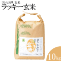 �����ҥ���ۤ������ơ֥ϥåԡ��ơ�10kg