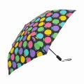 Hanna Hula�ʥϥ�ʥե�ˡ�SCS��ư���Ļ���54cm