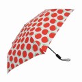 Hanna Hula�ʥϥ�ʥե�ˡ�SCS��ư���Ļ���54cm