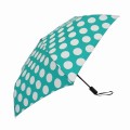 Hanna Hula�ʥϥ�ʥե�ˡ�SCS��ư���Ļ���54cm