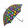 Hanna Hula�ʥϥ�ʥե�ˡ�Ĺ�� 58cm��|������ե���