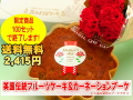 �ڸ���100���åȡ�������Υ����͡������ȥե롼�ĥ��������å�(������2415��)