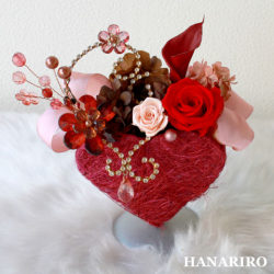 ����󥸡֥��奨�꡼�ϡ��ȡס��ץꥶ���֥ɥե����ե�