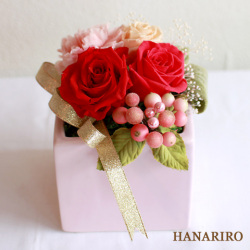 ����󥸡֥ե��ߥ˥��/�ץꥶ���֥ɥե����ե�/�뺧�ˤ���£��ե����ե�