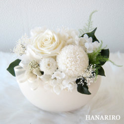 ����󥸡��ۤ��ʣ͡ˡ�/�����ߡ�������/�ץꥶ���֥ɥե����ե�