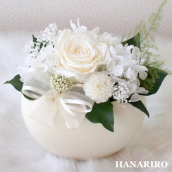����󥸡��ۤ��ʣӡˡ�/�����ߡ�������/�ץꥶ���֥ɥե����ե�