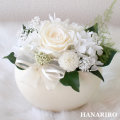 ����󥸡��ۤ��ʣӡˡ�/�����ߡ�������/�ץꥶ���֥ɥե����ե�