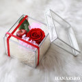 ����󥸡֤��󤭤夦�ס��ץꥶ���֥ɥե����ե�/������Υե����ե�