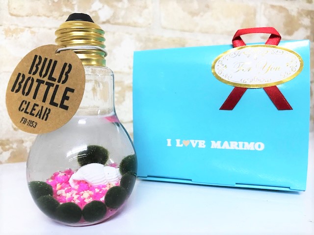 水草 まりもバルブボトル【星の砂入り♪】栄養剤付きセット