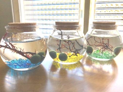 ピクシーシュリンプ【ホロホロシュリンプ】ミニ瓶クリスタルグラスサンド2匹入り+（死着補填分として予備１匹）