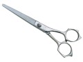 �ߥ����ˡ�MIZUTANI�˥�������Acroleaf Type-M 6.0��
