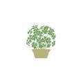 ����ƥꥢ�ǥ����롡���գ�