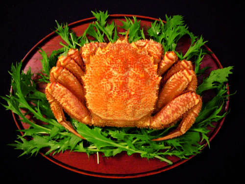 �̳�ƻ�ʤ�ǤϤ��ӥ��ˤ�ɤ����������夬�겼������