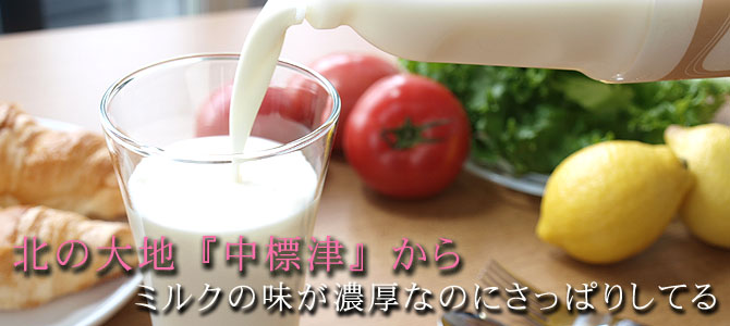 �̳�ƻ��ɸ�š��顦��ȥꡡ�Τ�衼�����
