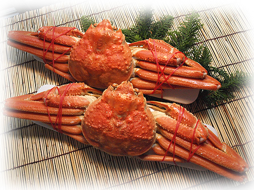 �Ȥ����뿩�������磻���ˡ���