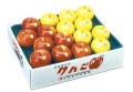 <�ե롼�Ĳ��� ;��>�˾��� �դ������ӥ��å� Ȣ��5kg 16��18������