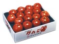 <�ե롼�Ĳ��� ;��>�˾��� �դ� Ȣ��5kg 16��18������