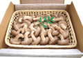 �ھ庽��Į���������פ�פ� �������� ���������� 600g