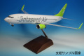 737-800�����饷�ɹҶ���JA801X 1:100