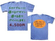 hinolismo-�������-�¤���T�����-�������֥롼�˥ץ���-good on���åɥ������