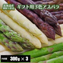 ���������ѥ饬��/�ץ�ߥ��ॢ���ѥ饬��