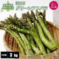 ���꡼�󥢥��ѥ饬��/�����ꥢ���ѥ饬��