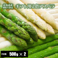 ���������ѥ饬��/�ץ�ߥ��ॢ���ѥ饬��