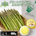 ���꡼�󥢥��ѥ饬��/�����ѥ饬�����å�