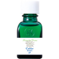 HJ�ޥ������󥯥��㡼��Cactus (��) 20ml