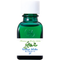 HJ�ޥ������󥯥��㡼��Ginkgo biloba (��) 20ml