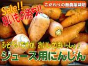 ���塼���Ѥˤ󤸤�