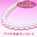 �٥ӡ��������Υ����俿��ͥå��쥹��5.5��5.0�ߥ��
