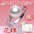 �ڲּ�ۥ����俿������������󥰡�8.5�ߥ꡿�ץ����������������ּ���̽��դ���